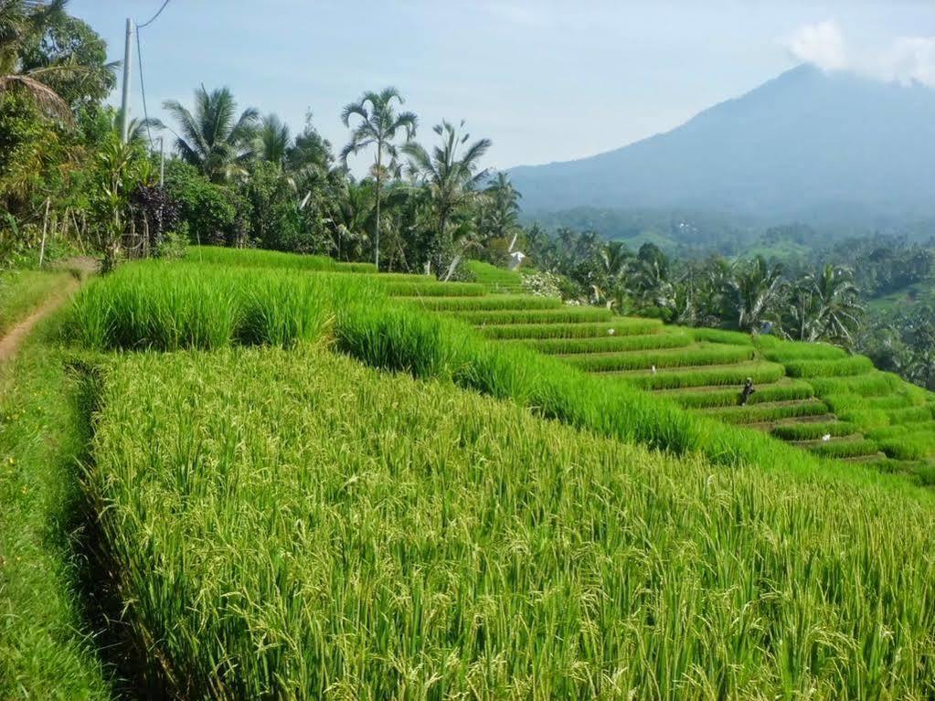Zen Premium Eka Laweya Hotel Seminyak (Bali)